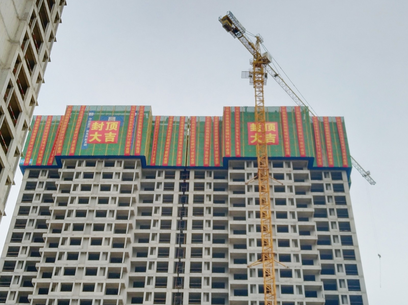 1592364967358895.jpg 703d7f13860c140a69825bc744b6fec.jpg