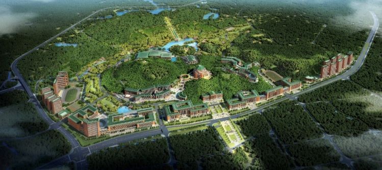 1599555247405054.jpg 1599555247405054.jpg