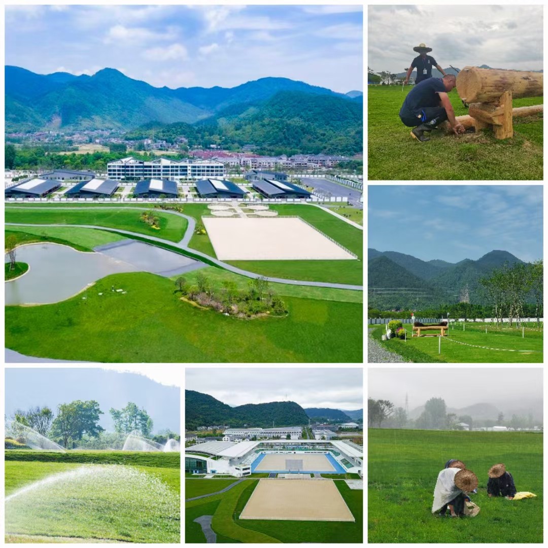 1684283816206450.jpg mmexport1654777471175.jpg