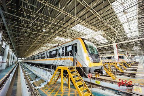 1703492625231142.jpeg 1703492625231142.jpeg