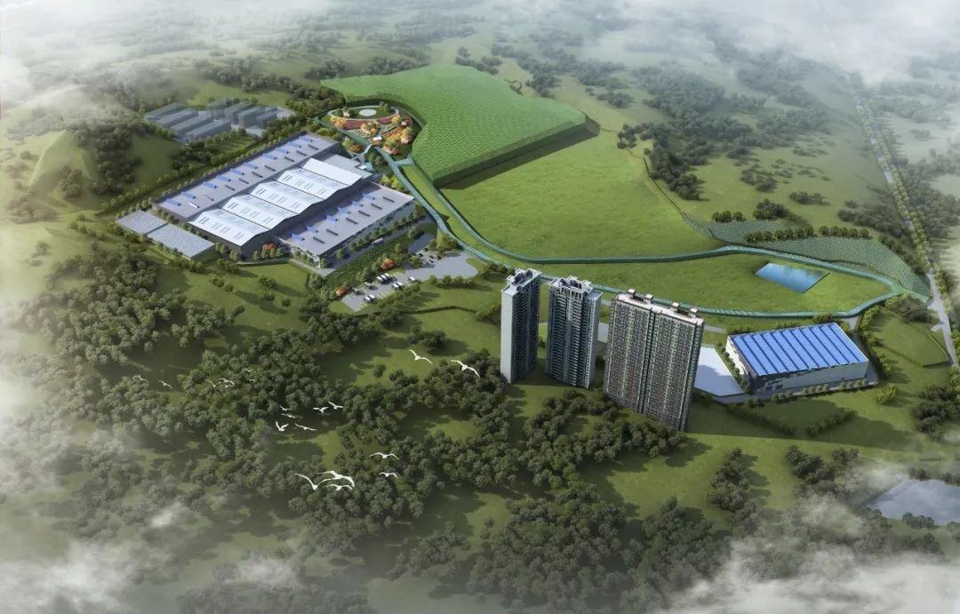 1704164460479709.jpg 1704164460479709.jpg