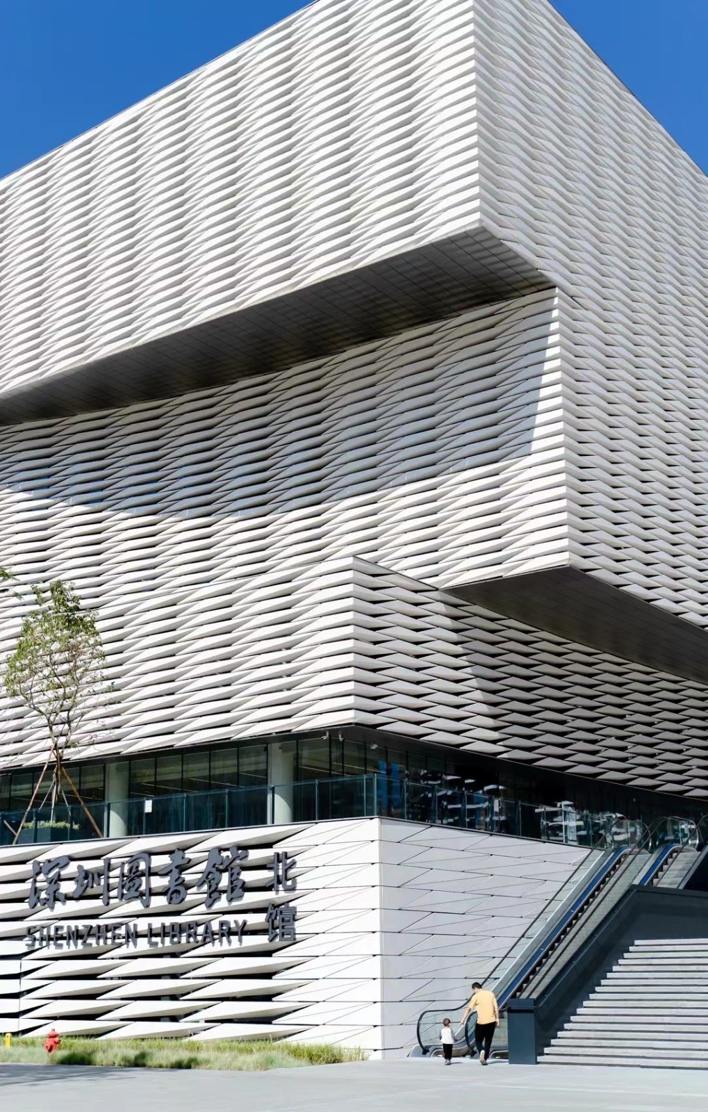 1711672351459949.jpg 1711672351459949.jpg