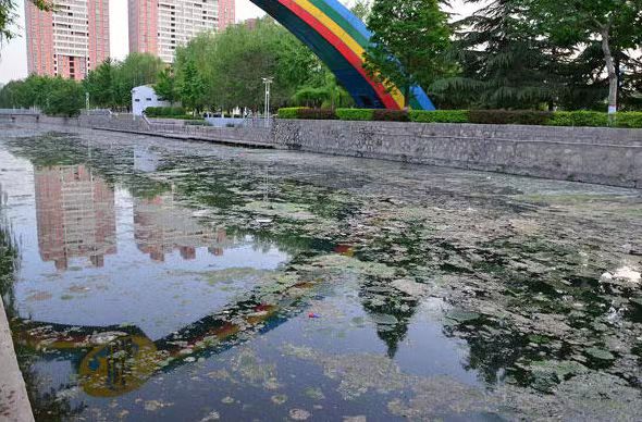 1714291920918624.jpg 1714291920918624.jpg