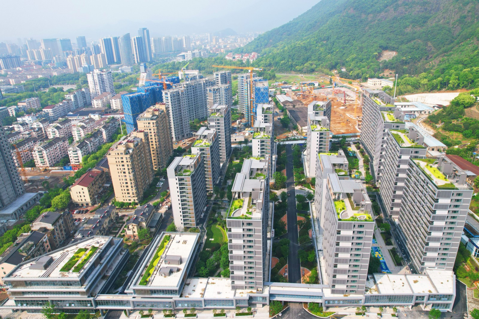 1720000202440797.jpg 1720000202440797.jpg