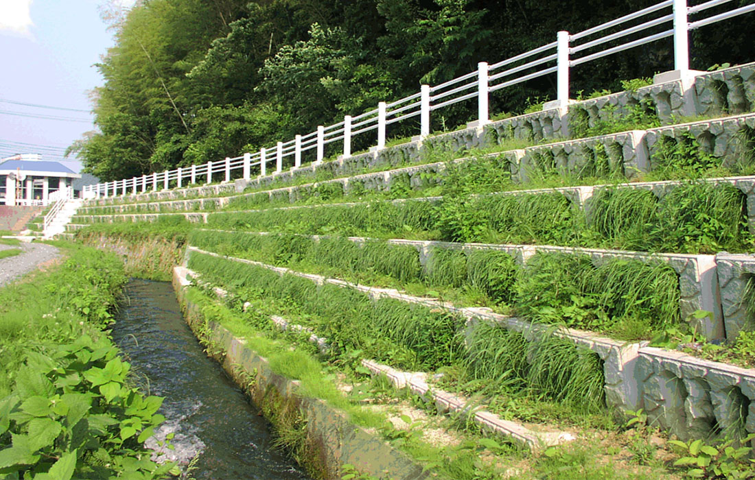 光明區(qū)全面消除黑臭水體治理工程（光明水質(zhì)凈化廠服務范圍）項目